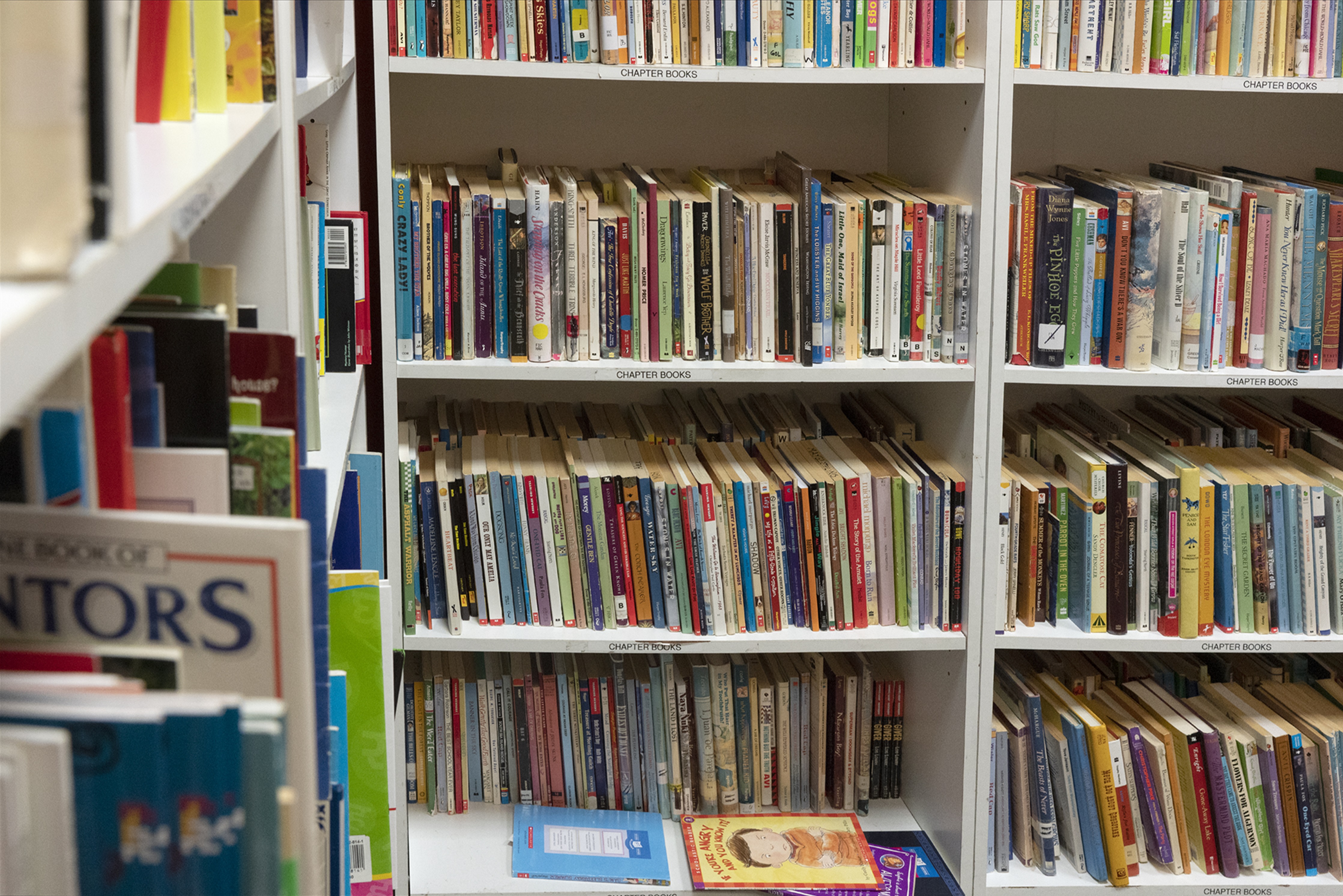Shelves full of books line the walls of the NHR Book Bank.